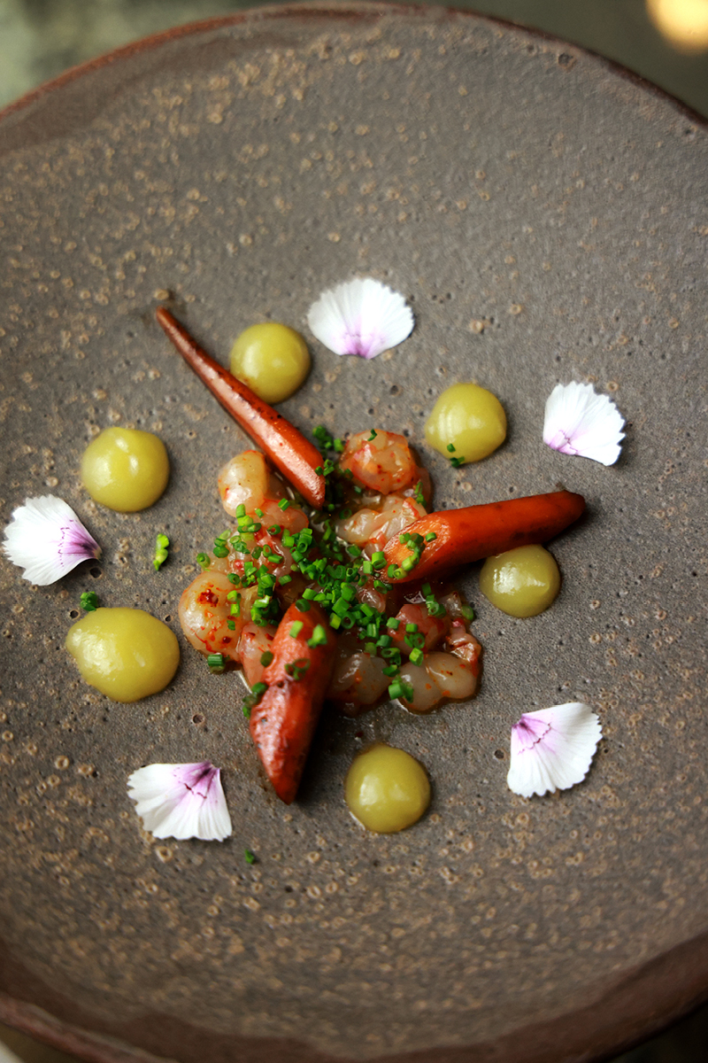 StudioAlbons-SaTafona113