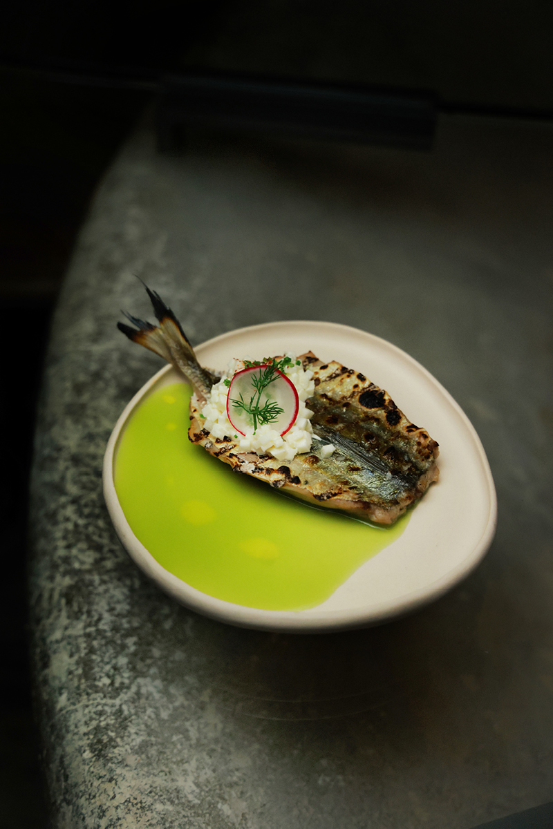 StudioAlbons-SaTafona116