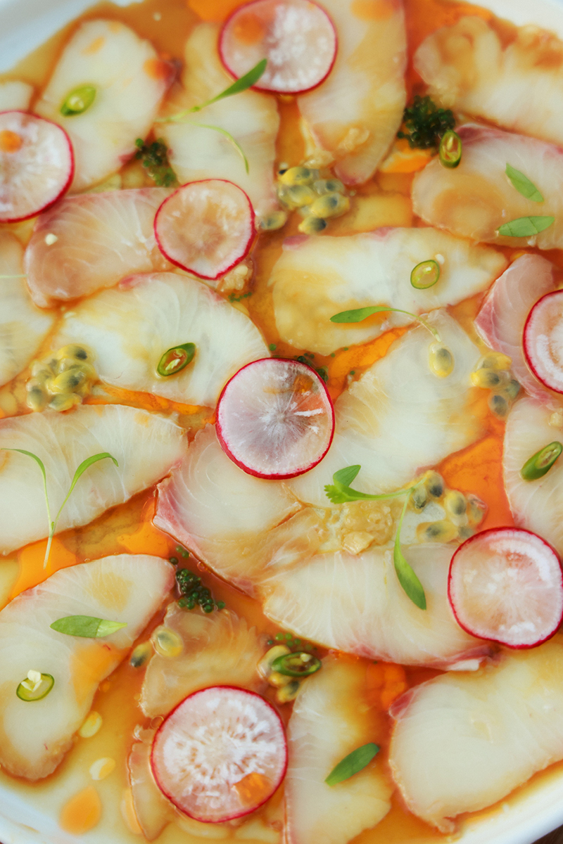 StudioAlbons-SonBunyola131