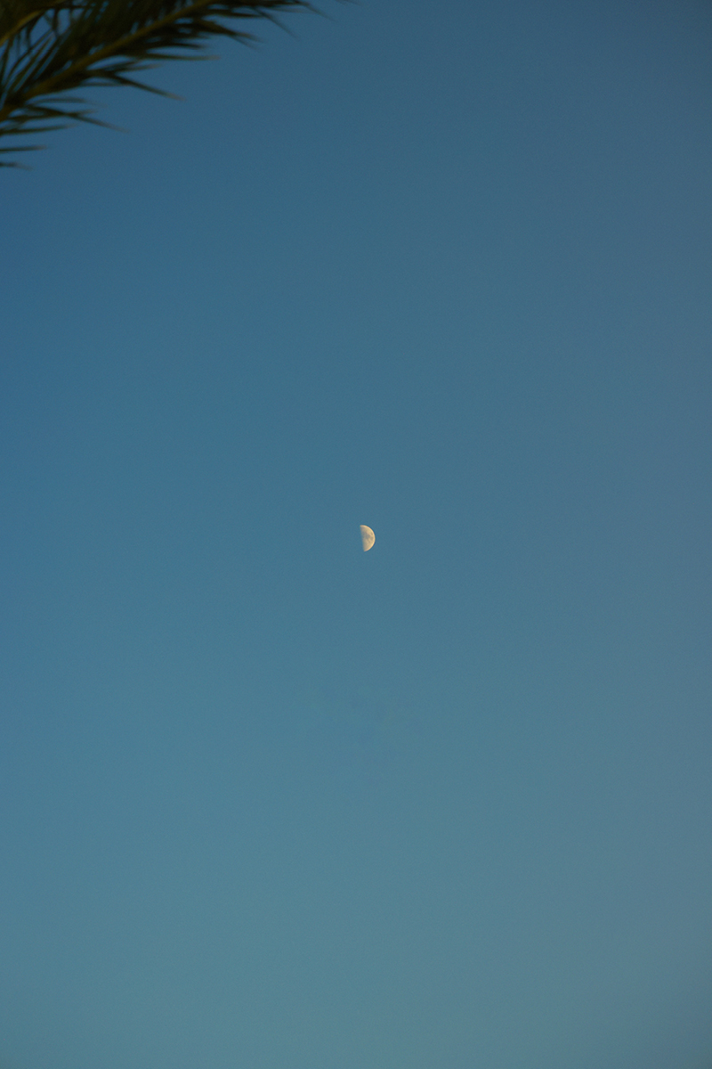 StudioAlbons-SonBunyola132