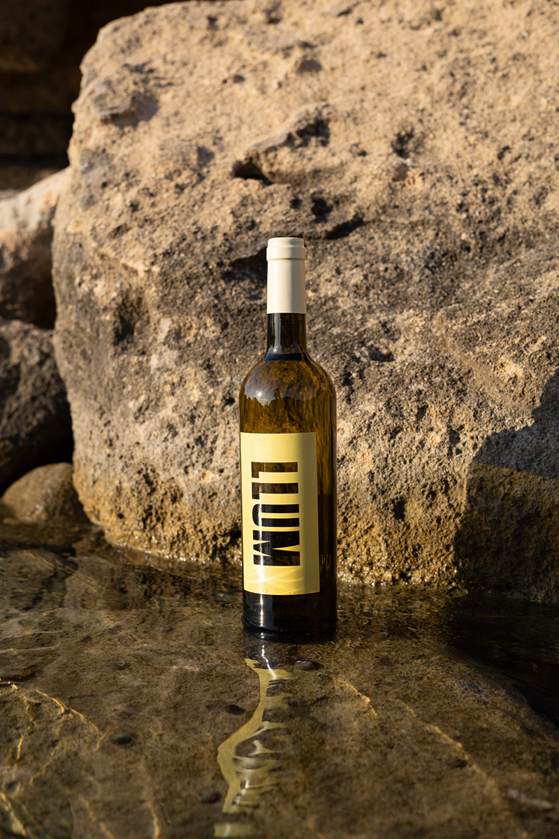 StudioAlbons-Vinoteca69