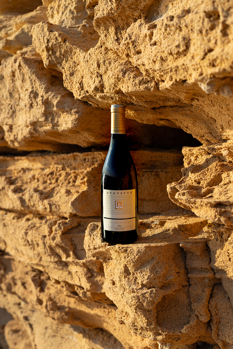 StudioAlbons-Vinoteca70