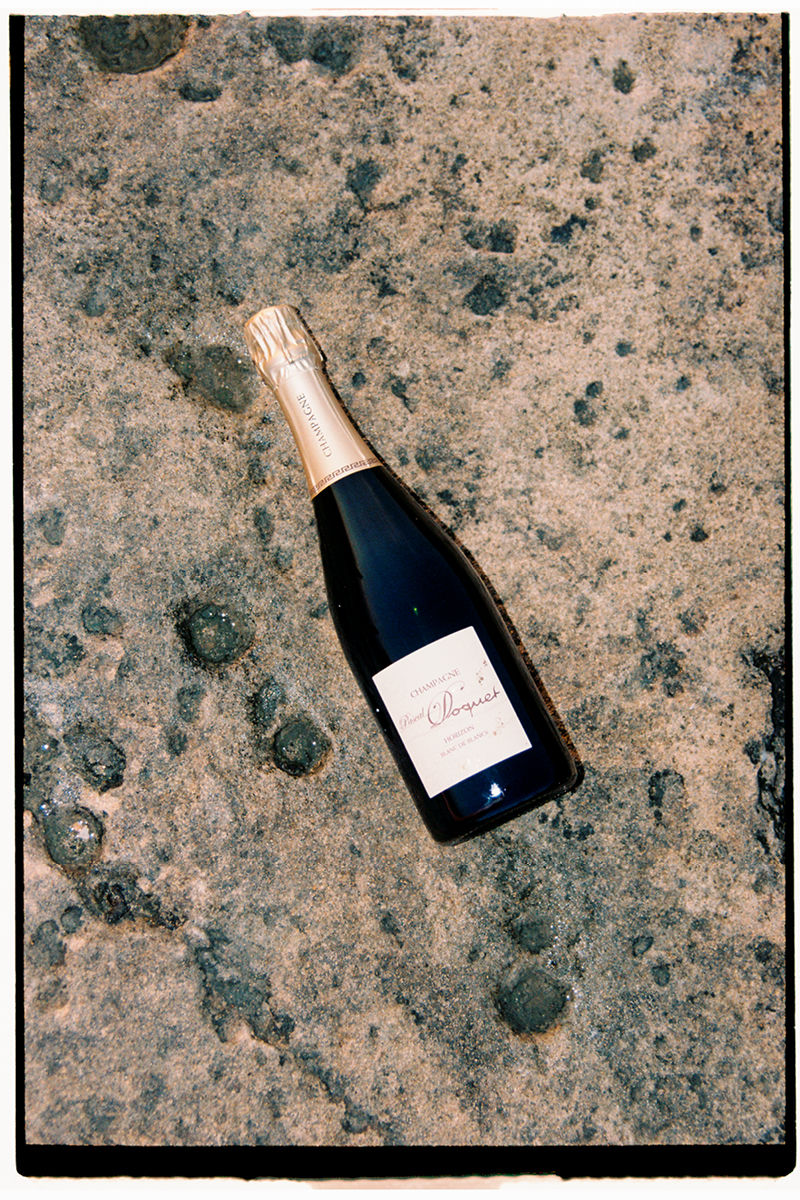 StudioAlbons-Vinoteca74